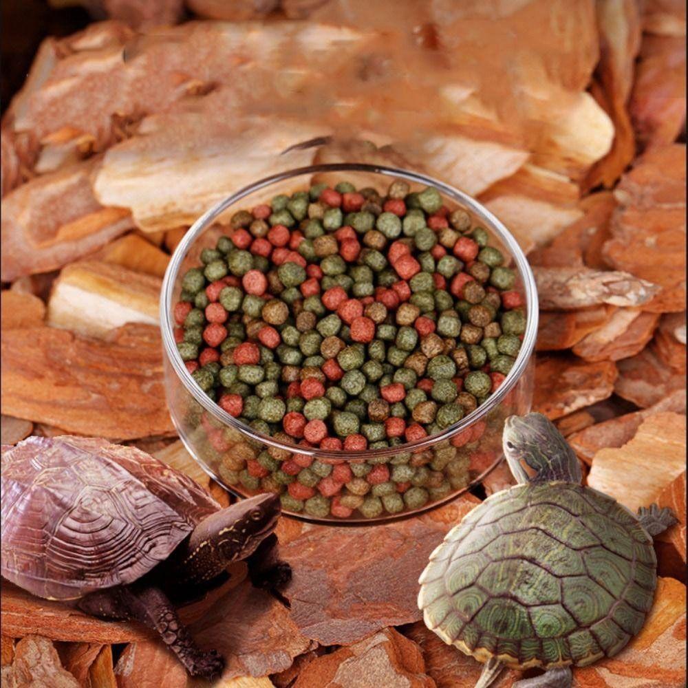 Acrylic Aquarium Feeder with Suction Cup Universal Aerial Feeding Bowl Transparent Fish Shrimp Feeding Dish