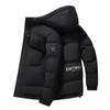 Casual Quilted Winter Jacket with Hood and Thermal Padding