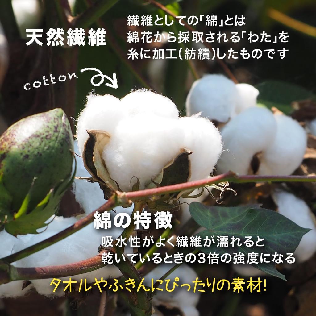 Sanbelm Köksbänk Disk Disk Bomullsgasväv 25 x Rekommenderad av Bistro och Limfri Förpackning med 18 Tyg, Tyg, Torka, Tyg, Diskduk, Färgglad,