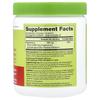 Doctor's Best Superabsorbent Magnesium Powder, Strawberry Lime Flavor, 350g (12.5oz)