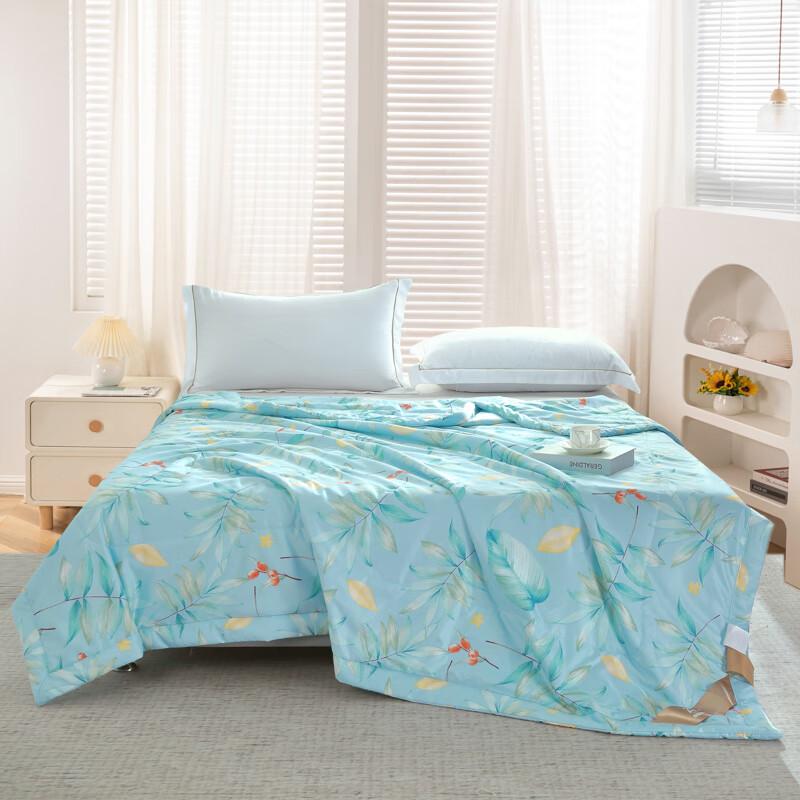 

Ziyun Ice Silk Summer Quilt