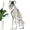 Dog Skeleton Decoration Spooky Skeleton Animal Halloween Puppy Bones Skeleton Decoration for Halloween Indoor Outdoor