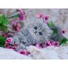 5D Diamond Painting Animal Cute Cat Diamond Embroidery Cross Stitch Rhinestones Full Square Round Drill Pictures Art Home Decor