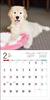 2024 Calendar Golden Retriever (Seibundo Shinkosha Calendar)