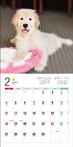 2024 Calendar Golden Retriever (Seibundo Shinkosha Calendar)