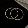 Silver Needle Autumn and Winter Metal Earrings Earrings Niche Fashion Cold Wind Earrings Versatile Light Luxury Premium Earrings