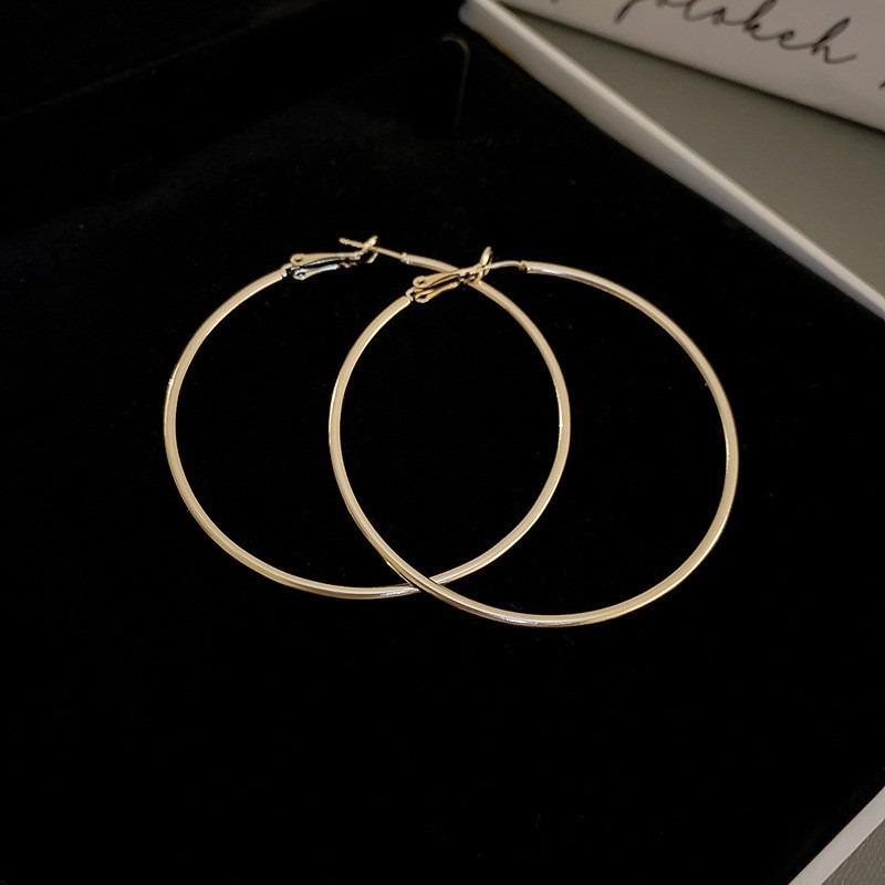 Silver Needle Autumn and Winter Metal Earrings Earrings Niche Fashion Cold Wind Earrings Versatile Light Luxury Premium Earrings