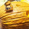 Halloween Kürbisschnitzset, Edelstahl-Ausstecher-Set, DIY Jack O'Lantern Werkzeug zur Kürbisdekoration, Backgeschenk