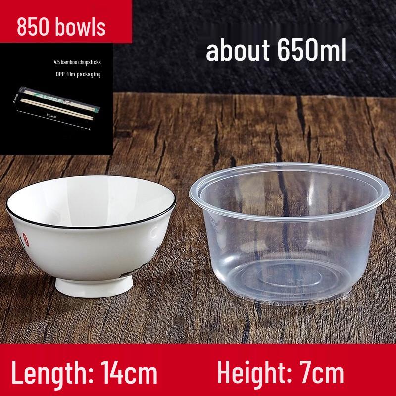 Biaoxing Disposable Dinnerware Set