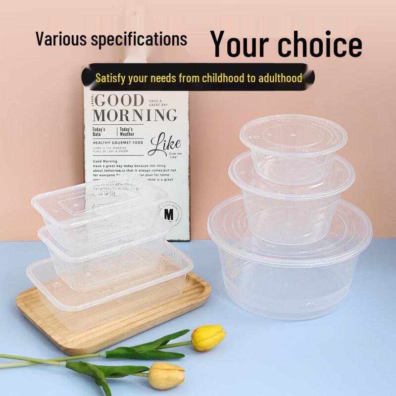 ZISIZ Disposable Rectangular Plastic Lunch Box