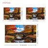 2D Autumn Nature Backdrop Cloth Stone Bridge Fall Photography Background