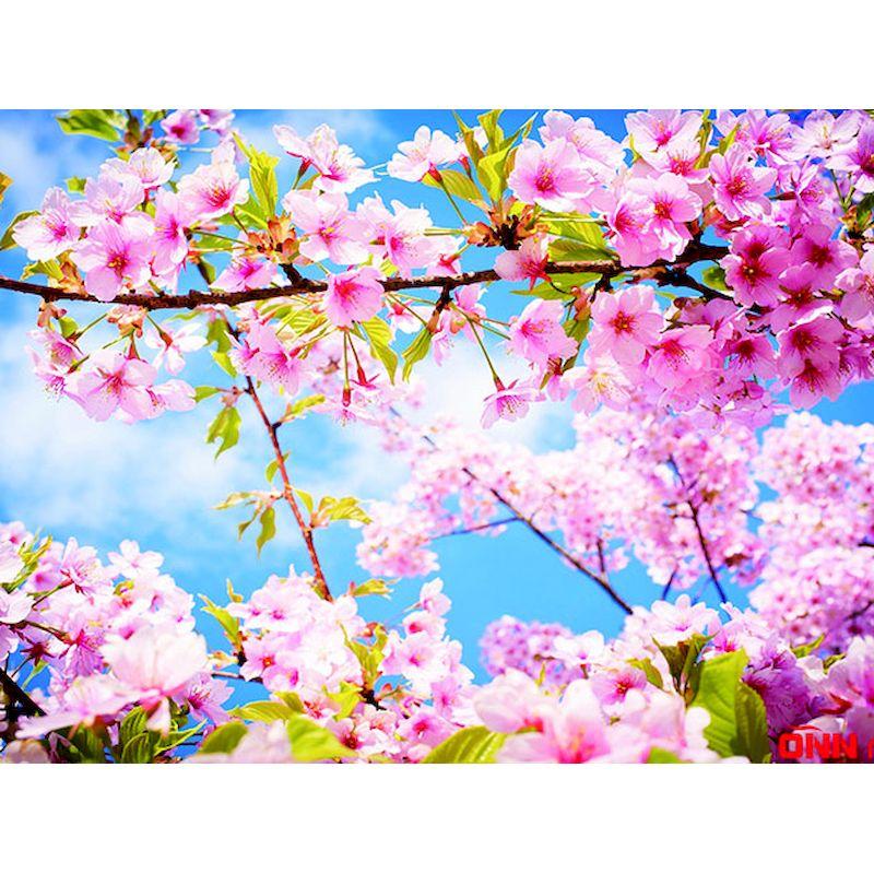 Full Round Diamond Painting Flowers 5D DIY Diamond Embroidery Kits Mosaic Cross Stitch Pattern Home Decor