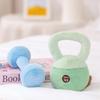 Cartoon Simulation Kettlebell Dumbbell Plush Toy Lovely Stuffed Fitness Equipment Doll Bag Pendant Kawaii Room Decor Gifts