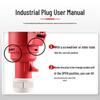 Delixi Industrial Plug