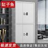 Thickened Steel Electronic Security Cabinet