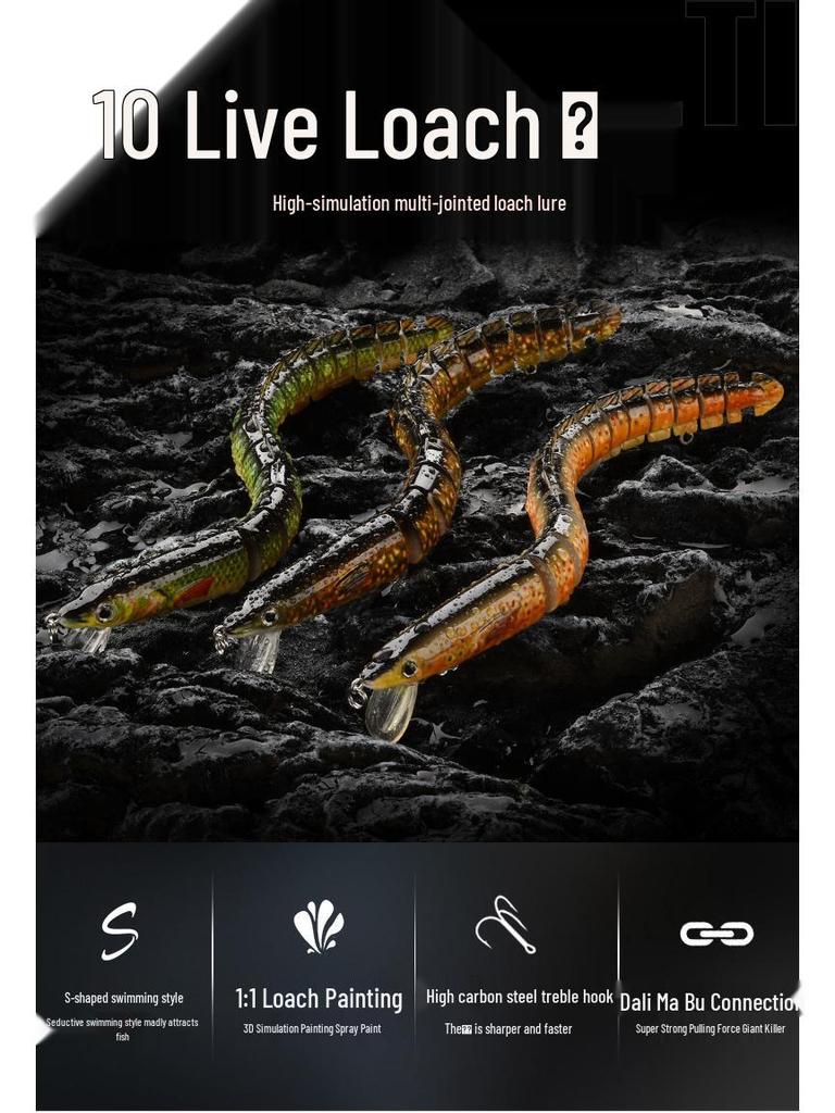 Aspius Long-Cast Marine Fishing Simulation Bait - Large, Slow-Sinking, Fake Lure for Sea Fishing