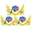 Safeguard Citronová svěžest Antibakteriální mýdlo (3 x 100 g)