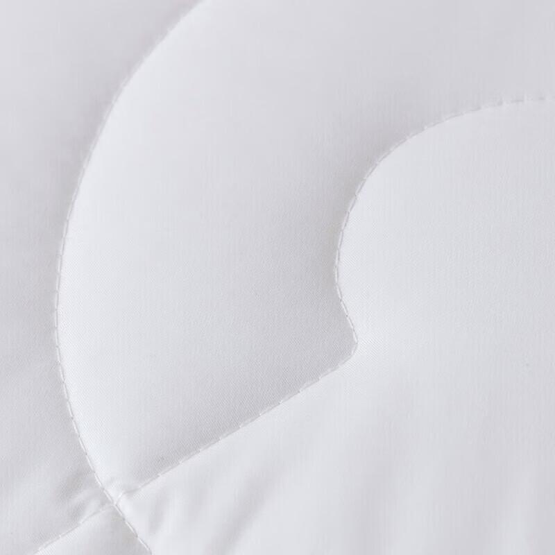 Luolai Anti-mite & Anti-bacterial Silk & Soy Fiber Quilt