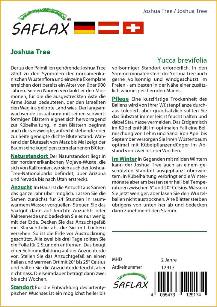 SAFLAX Joshua Tree - 10 Seeds - Yucca Brevifolia