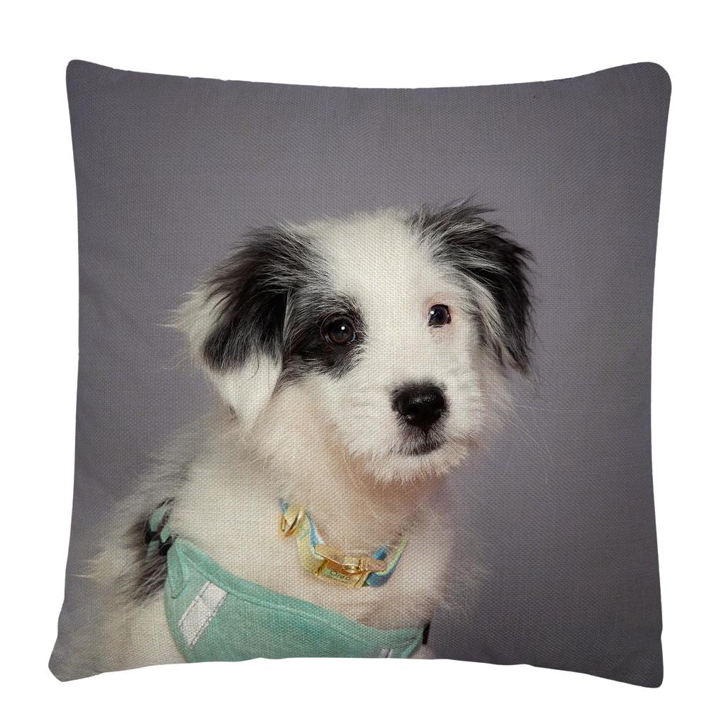 Kissenbezug mit Welpen-/Hunde-Kunstfoto-Muster, Polyester, Kissenbezug, Heim-Sofa-Auto-Dekor