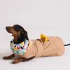 ANGEL DOG Premium Trench Puppy Raincoat Beige