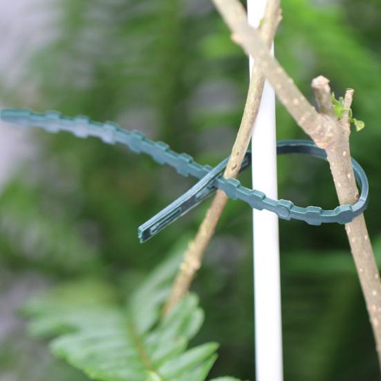 Adjustable Plant Ties Flexible Twist Ties Flexible Gardening Ties Plant Stake Ties for Plant Support Tree Shrub Cable Organization