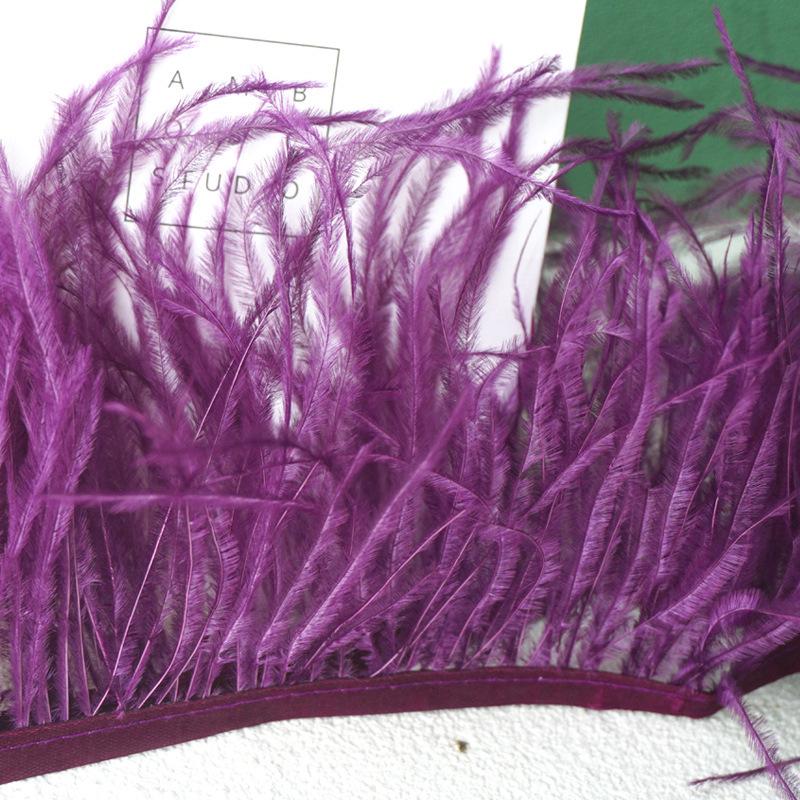 Ostrich Feather Fringe - Various Colors, 10-15cm, 1 Meter for Clothing Accessories