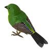 Francfranc Human Sensory Music Bird Clip Green