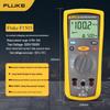 FLUKE Handheld Insulation Resistance Tester F1503 (CN version)