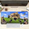 XXL Funny Silly Cat Meme Dog Mouse Pad Desk Mat Large Non-slip Anti-fray Keyboard Ergonomic Office Rubber PC Accessories