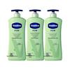 Vaseline Intensive Care Aloe Soothe Lotion 3-Pack
