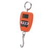 Portable Electronic Scale High Accuracy Digital Hanging Scale 200kg Weight Capacity Crane Scale for Food Luggage