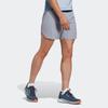 Adidas Agravic Pro Trail Shorts Color Block Outdoor Quick-Dry Sports Trail Shorts Men Shorts Silver Gray Violet HT9388