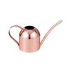 Rose Gold Stainless Steel Watering Can with Spout, Retro Style, 1000ML for Succulents and Green Plants