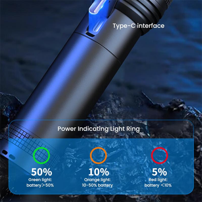 Philips Flashlight SFL6166