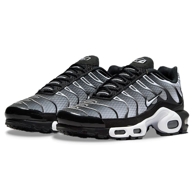 Nike Air Max Plus Black Metallic Silver DM0032-003