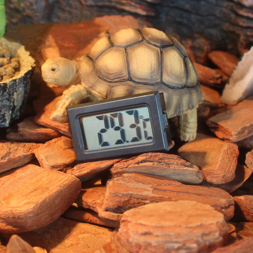 thermometer lizard