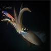 Shrimp Bait 5g/8cm Wood Luminous Realistic Fish Eye Sharp Hook Vivid Bright Color Fishing Universal Squid Jigging Artificial Wobblers for Sea