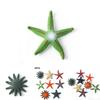 Authentic Sea Star Animal Models For Kids Educational Beach Toys Colorful Pvc Set