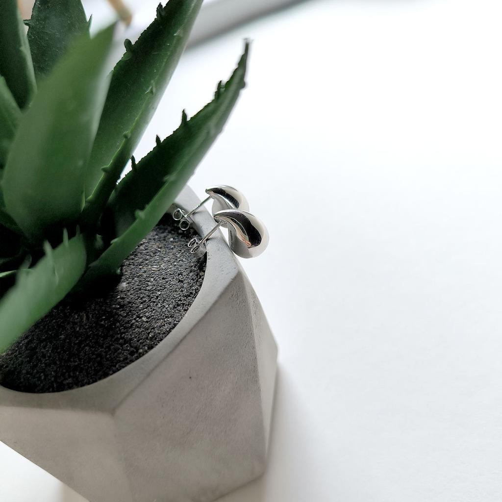 Silver Earrings Without Stones (2161196)