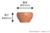 Tougei Wooden Bowl S Natural Wood Moomin Series Wooden Bowl (Moomin) - -