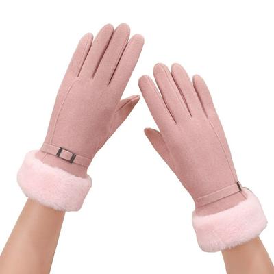 New Plush Winter Gloves Warm Touchable Screen Driving Mittens Full Finger Coldproof Full Finger Gloves Girls