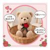 Rose Teddy Bear Plush Toy, Cute 25cm Small Size Animal Stuffed Animal, Funny Gift for Mother's Day, Valentine's Day, Celebrations (Gray)