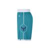 New Jordan Hornets Team ICON Edition 2020 NBA Basketball Shorts Men's Blue Green CN8083-443