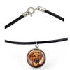 Rhodesian Ridgeback, African Lionhound, African Lion Dog – Necklace In a Box, Elegant Decoration |