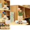 Cute And Playful Tulip Succulent Plush For All Ages Great For Gifts And Nap Time