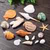 Beach Seashells Decoration Starfish Sea Snail Coral Ornament for Wedding Party