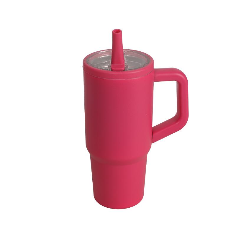 Popular 710ml Insulated Stainless Steel Water Bottle with Straw Lid & Handle