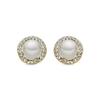 Luxenter Basnik Earrings 18k Gold Finish
