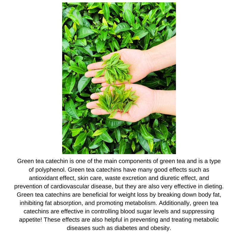 Vital beauty METAGREEN GOLD PLUS für 30 Tage